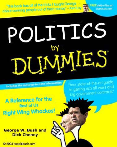 Politics by Dummies