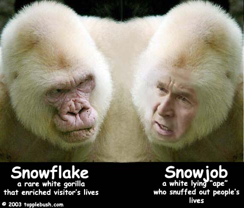 Snowflake and Snowjob