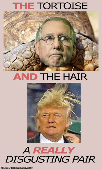 The Tortoise and the Hair