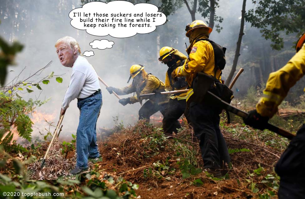Trump raking forest on fire